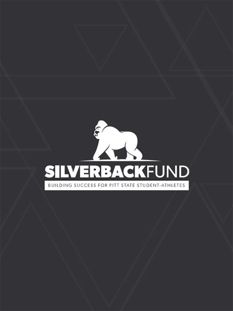 Silverback booklet